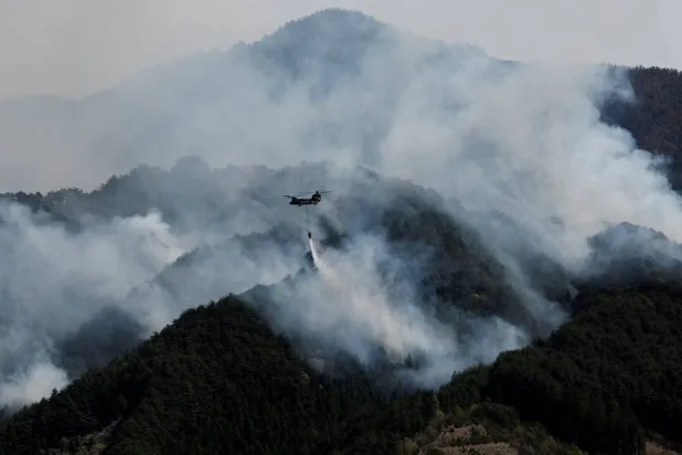 Global Fire Outbreaks Hit Record High as ‘Unprecedented’ Heat Extremes Loom, Scientists Say